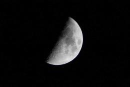 Half Moon Picture